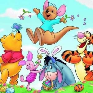 Meet your Posher, Teresa